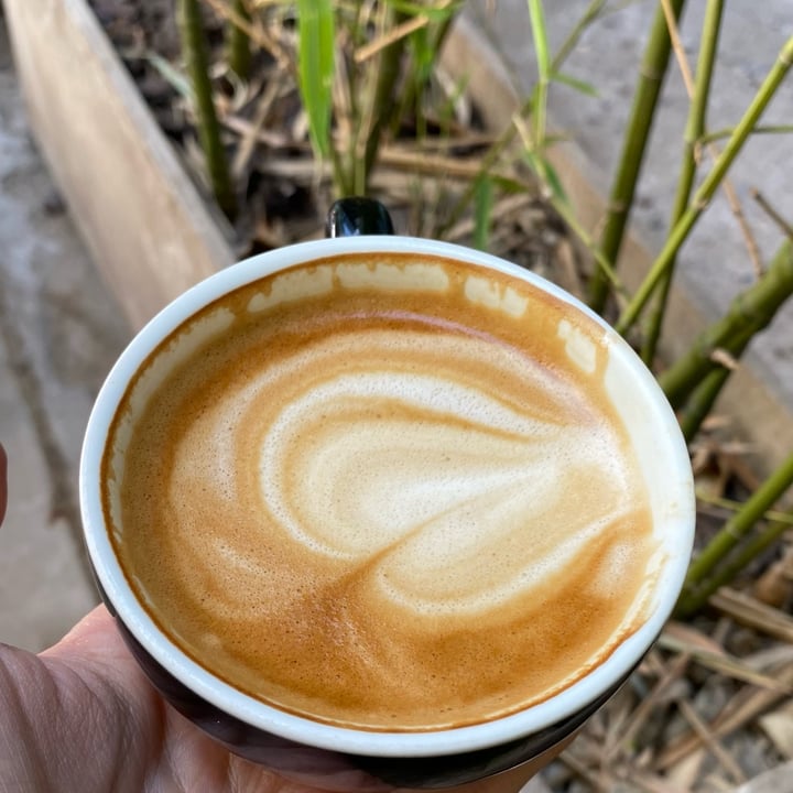 photo of B-Fresh latte con leche de almendras shared by @jazminorellanaok on  30 Jan 2022 - review