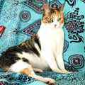 maryd9 @maryd9 profile image