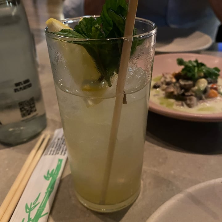 photo of Mudrá Limonada de menta y jengibre shared by @inespressable on  15 Apr 2022 - review