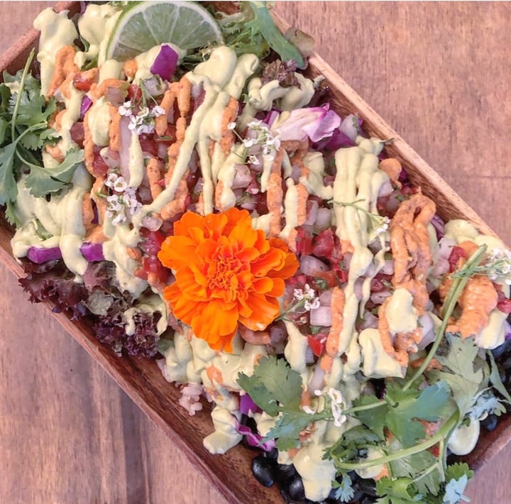 photo of a'a roots Burrito Bowl shared by @passportvegan on  23 Jan 2020 - review