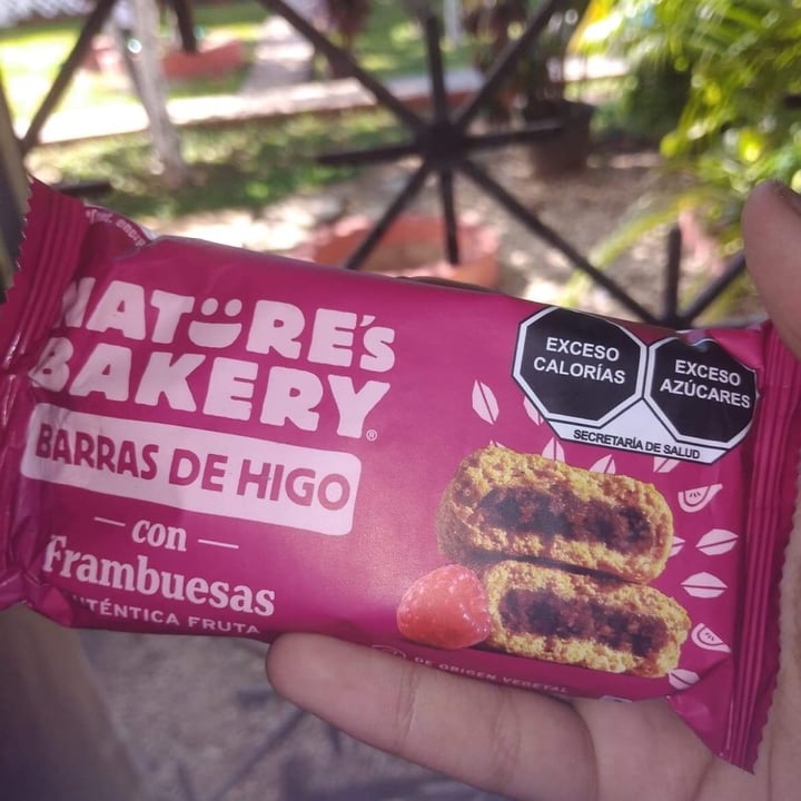 photo of Nature's Bakery Fig Bar Raspberry shared by @andyperches on  01 Jun 2021 - review