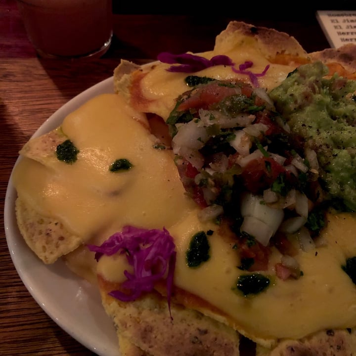 photo of The Fat Cactus Gardens Beeg Cheesy Nachos shared by @flowerstastebad on  06 Sep 2021 - review