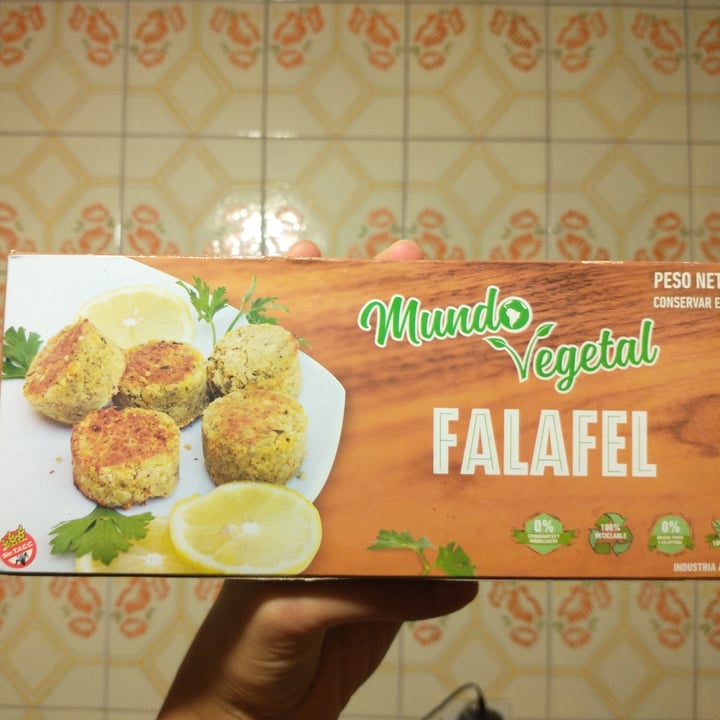 photo of Mundo Vegetal Falafel shared by @camilaferrari on  13 May 2021 - review