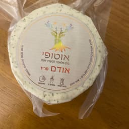 אוטופי