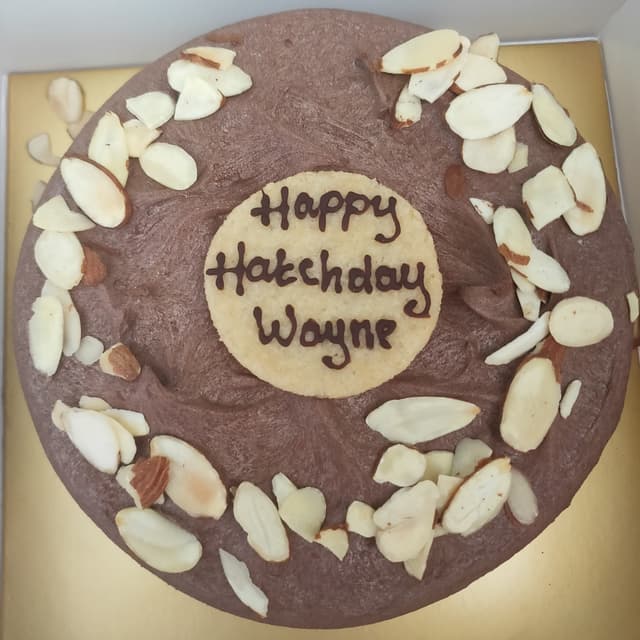 Photo of the dish “Vegan chocolate Low-carb Cake”