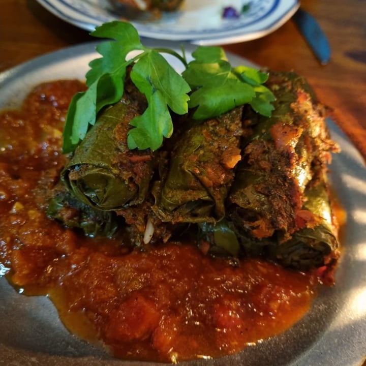 review photo of Eretz Cantina Israeli Niños envueltos shared by @camreggae on 04 Oct 2021 - review