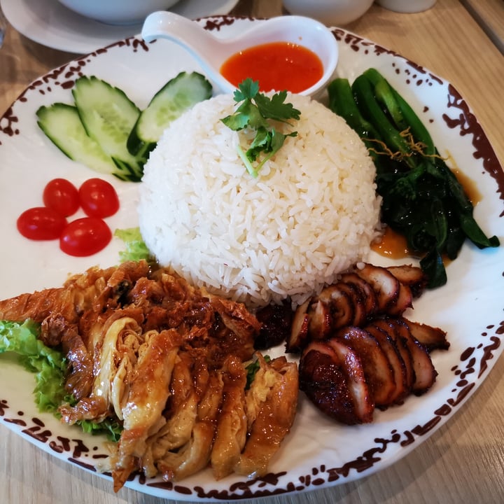 photo of Lotus Vegetarian Restaurant Chicken rice shared by @soyfarsoygood on  07 Mar 2021 - review