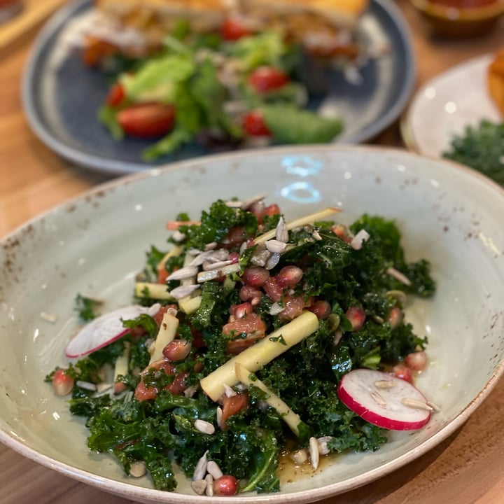 review photo of Am I Addicted - Pottery Studio & V Cafe Kale Waldorf Salad shared by @veggiexplorer on 16 Jan 2022 - review
