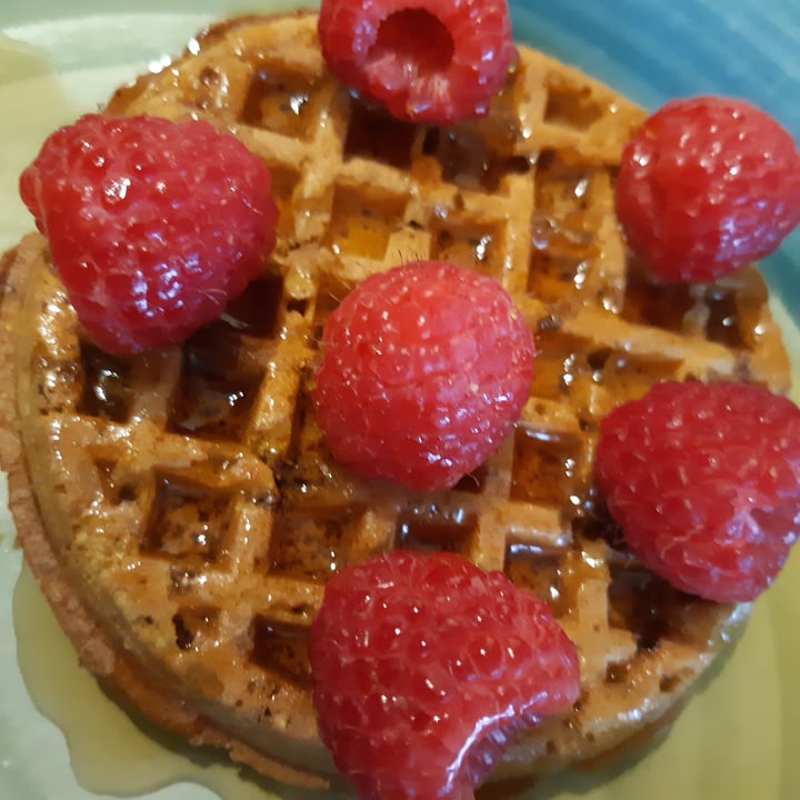 photo of Nature's Path Foods Pumpkin Spice Waffle shared by @hbchic on  13 Jan 2021 - review