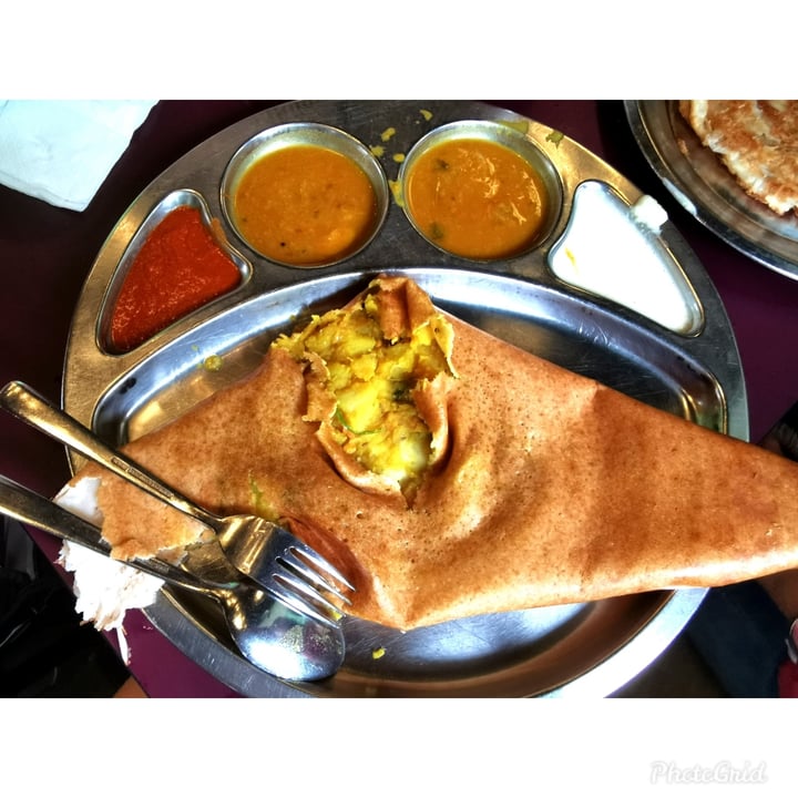 photo of Springleaf Prata Place Masala Thosai shared by @ahmei on  09 Jan 2021 - review