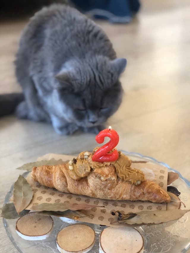 Photo of the dish “croissant de dulce de leche vegano”