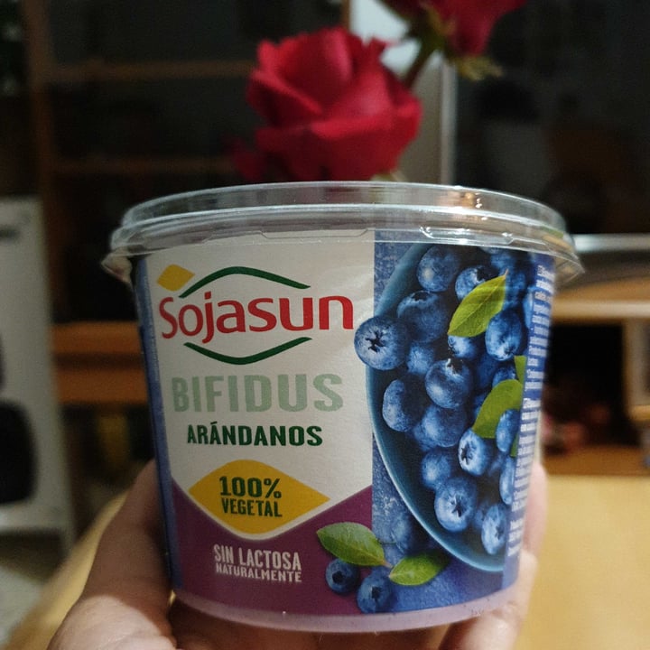 photo of Sojasun Yogurt Bifidus Mirtillo shared by @veggieleni on  31 May 2021 - review