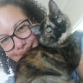 lynn4plants @lynn4plants profile image