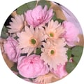 joanchong @joanchong profile image