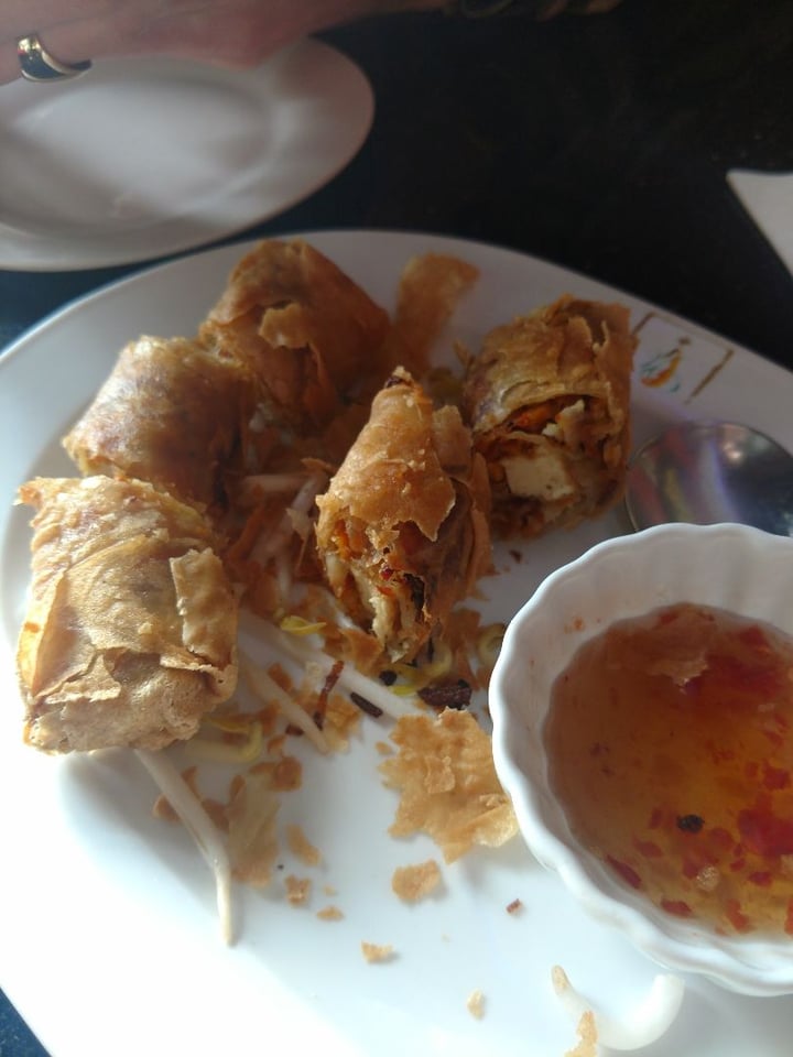 photo of Jasmine 26 Restaurant and Bar Vegan Tofu Egg Rolls shared by @iszy on  15 Jan 2020 - review