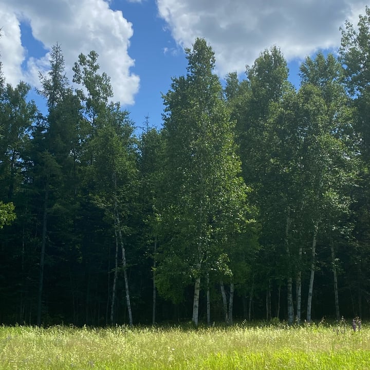 review photo shared by @zachery-woods on 05 Dec 2022 - post