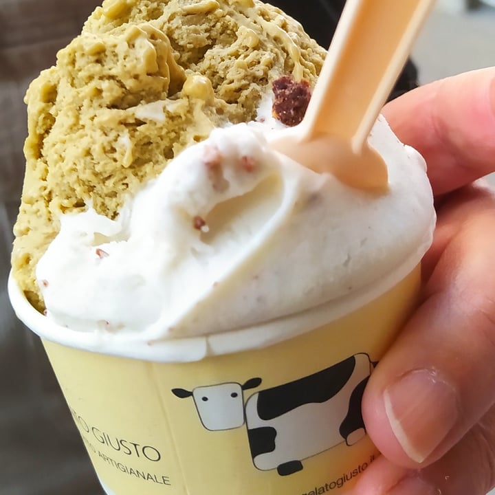 photo of Gelato Giusto Pistacchio shared by @susanita on  29 May 2022 - review