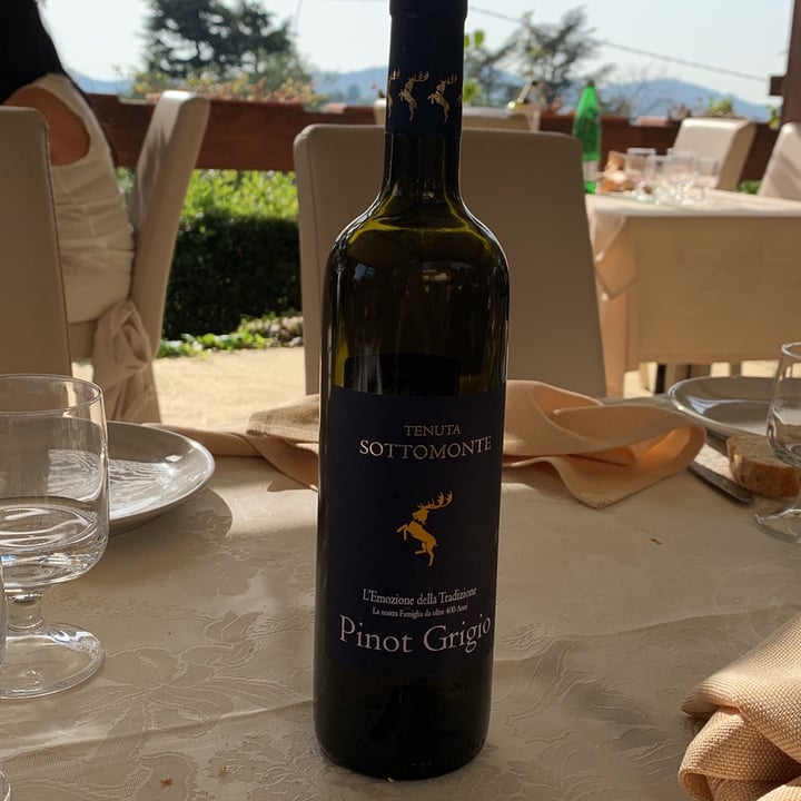 photo of tenuta sottomonte Pinot Grigio shared by @ischarotate on  23 Oct 2022 - review