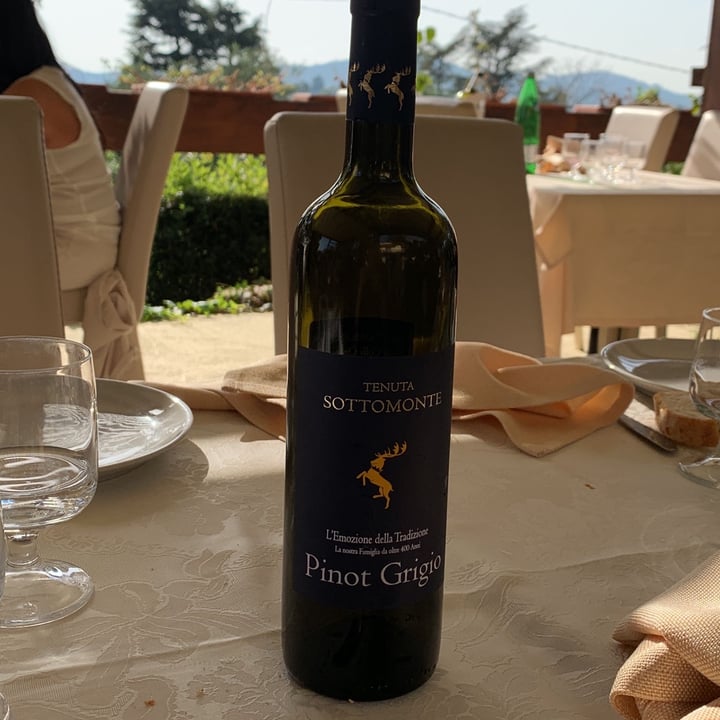 review photo of tenuta sottomonte Pinot Grigio shared by @ischarotate on 23 Oct 2022 - review
