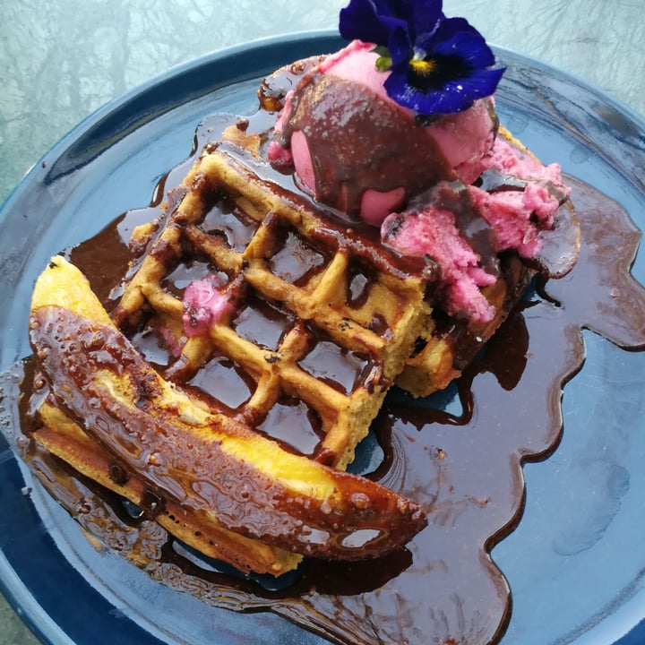 photo of Lexi's Healthy Eatery Choc Chip Waffles shared by @yuyubunny on  09 Sep 2021 - review