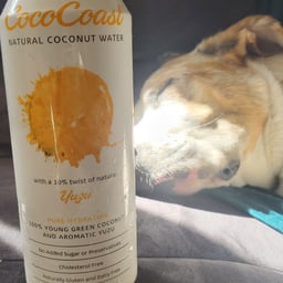 Coco Coast