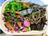 Bento Picnic