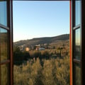 teresaorsi @teresaorsi profile image