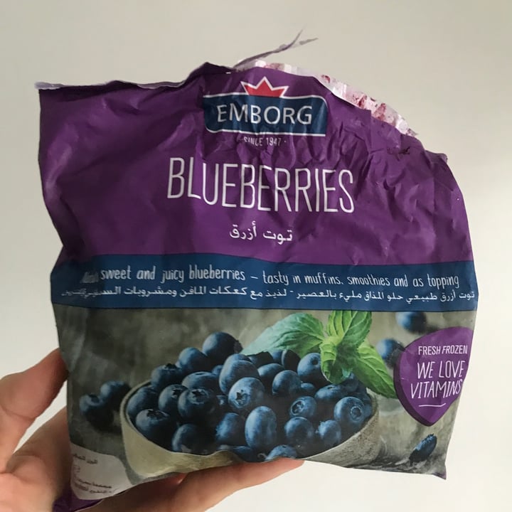Frozen Blueberries Review abillion