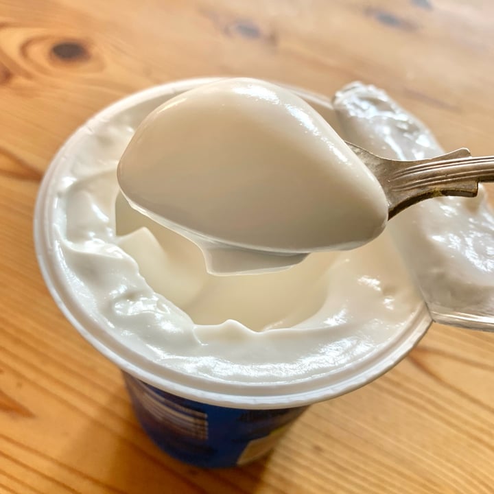 photo of Koko Dairy Free Greek Style Yogurt shared by @vegpledge on  22 Mar 2022 - review