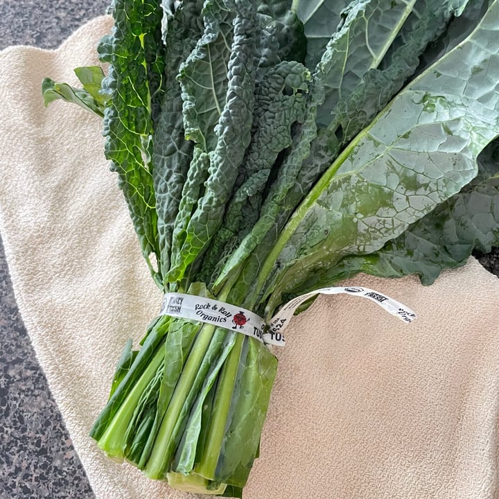 review photo of Rock & Roll Organic Tuscan Kale shared by @aqualing on 07 Jul 2021 - review