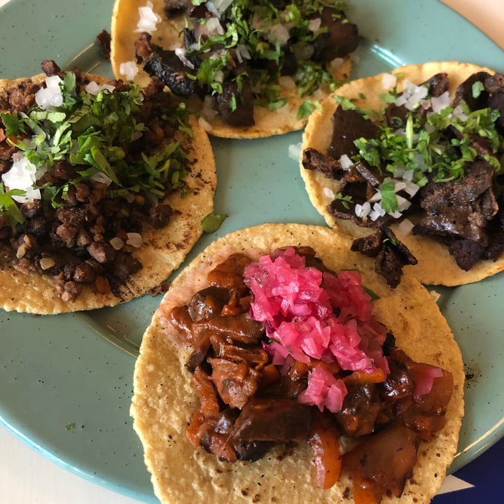 photo of Groovy's Taquería Vegana Taco De Cochinita Pibil shared by @saloshayo on  23 Dec 2021 - review