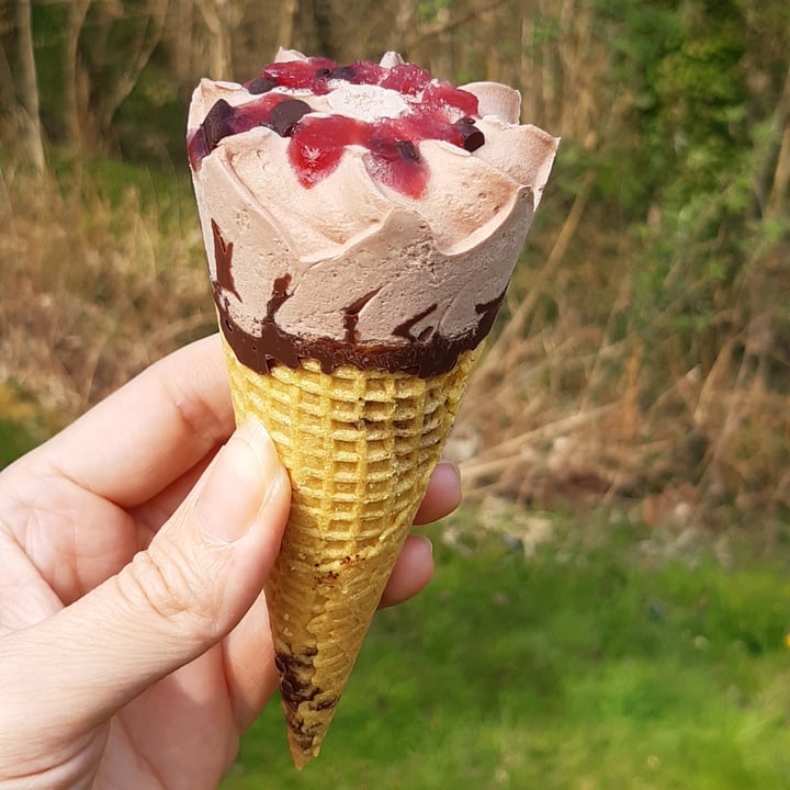photo of Wicked Chocolate & Red Berry Cone shared by @janxr on  20 Apr 2021 - review