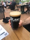 Upland Brewing Co