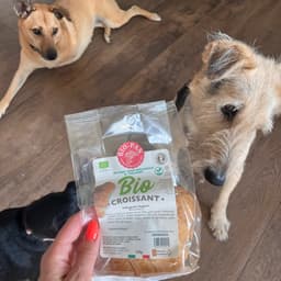 Biopan