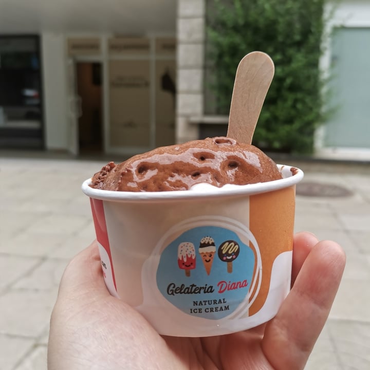photo of Gelateria Diana (Borovo) Vegan ice cream Chocolate and Coconut shared by @valibabali on  26 May 2022 - review