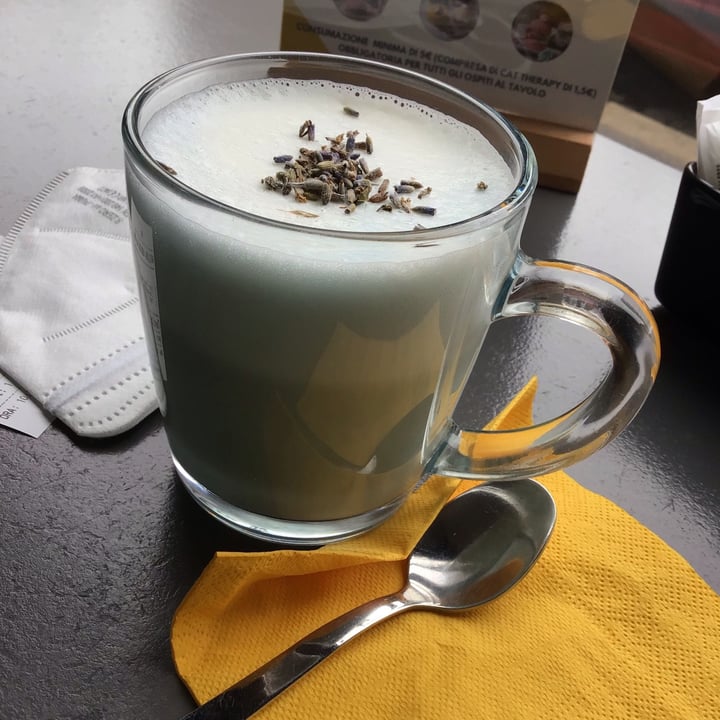 photo of Crazy Cat Café lavander milk shared by @triglifafalelotosus on  22 Sep 2021 - review