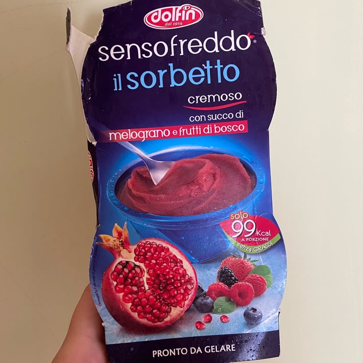 photo of Dolfin Granita alla melagrana shared by @rachelz on  19 Aug 2022 - review