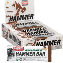 Hammer nutrition Vegan Protein