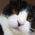iosonosoloio @iosonosoloio profile image