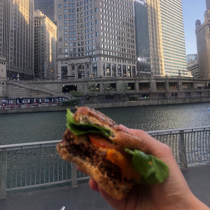 True Food Kitchen Near North Chicago United States Vegan Double true-food-kitchen-near-north-chicago-united-states-vegan-double