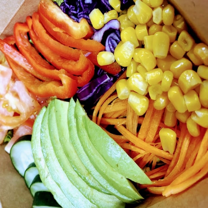 photo of Loving Hut Vegan Restaurant Rainbow Salad shared by @elbarfield on  23 May 2022 - review