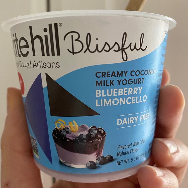 review photo of Kite Hill Blissful Blueberry Limoncello Yogurt shared by @alaina on 26 Dec 2020 - review