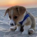 sisisoydelfi @sisisoydelfi profile image