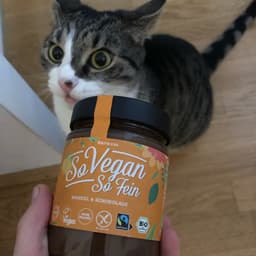 So Vegan So Fein