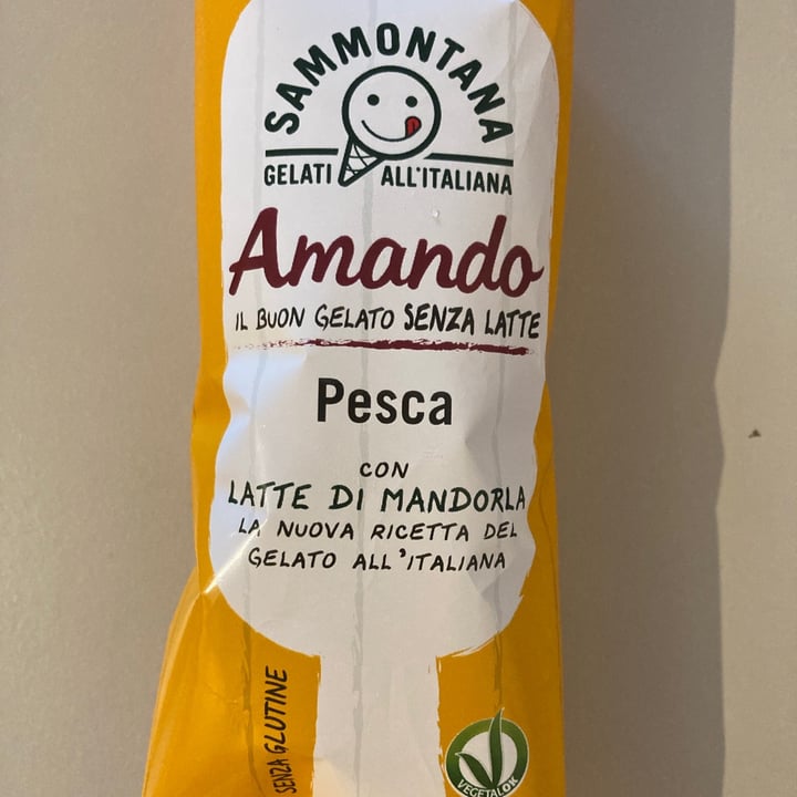 photo of Sammontana Amando Sammontana Gelati Alla Frutta shared by @marti17 on  14 Jun 2021 - review