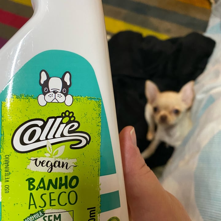 review photo of Collie Banho a Seco shared by @mirelefeliz on 11 May 2022 - review