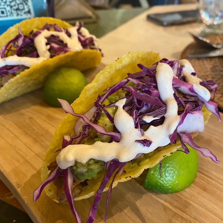 photo of WabiSabi Jackfruit Taco shared by @animalsavesaudi on  04 Oct 2020 - review