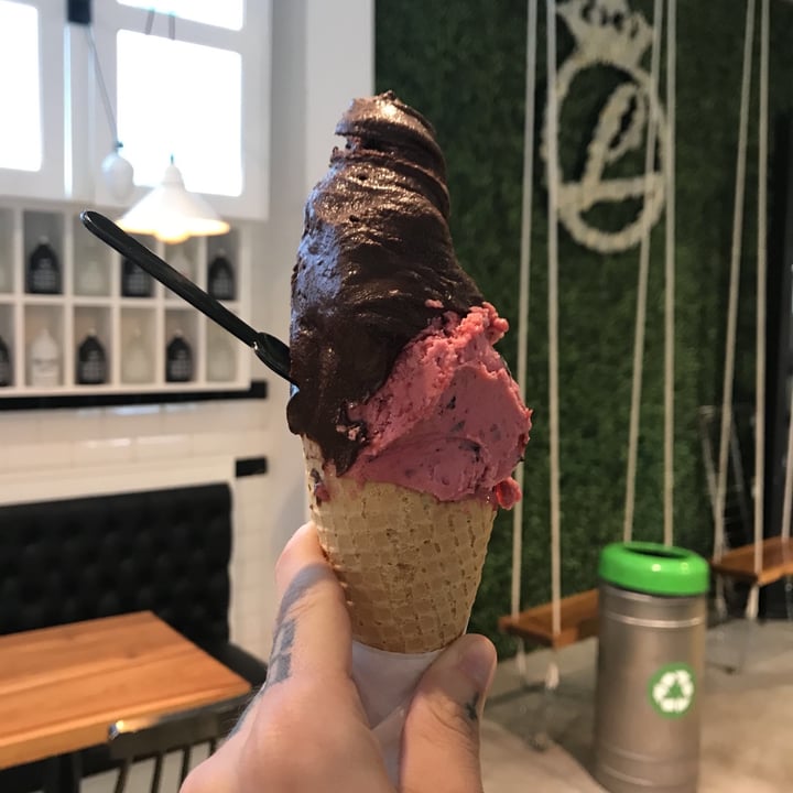 photo of Lucciano´s Palermo Soho Helado De Chocolate Amargo Vegano shared by @juliprisma on  02 Nov 2020 - review