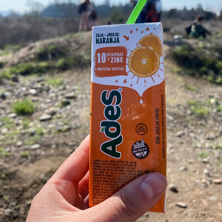 photo of Ades Leche De Soja Sabor Naranja shared by @valita on  26 Aug 2021 - review