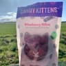 Candy kittens